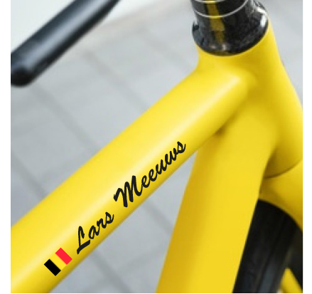 fiets frame sticker
